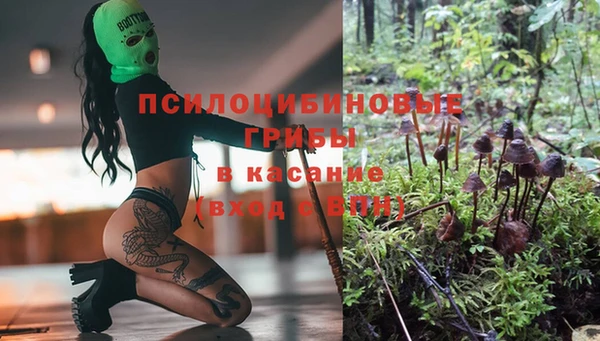 мдпв Белокуриха
