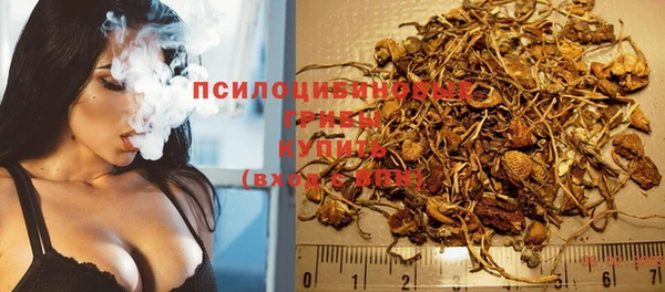 мдпв Белокуриха