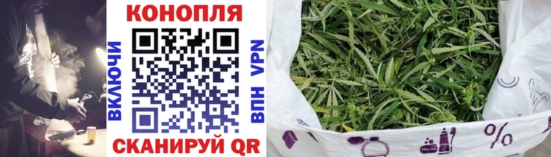 Шишки марихуана семена где можно купить наркотик Минеральные Воды